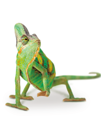 Zirconia | Tosoh Advanced Ceramics Zirconia | Tosoh Advanced Ceramics